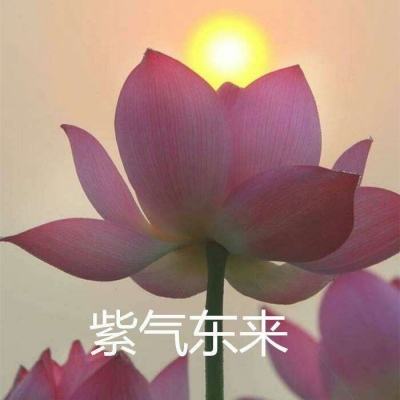 天龙八部手游sf变态版下载
